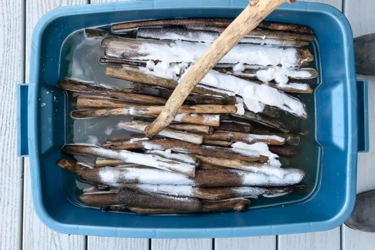 come disinfettare i rami di sbiancare rami di legno