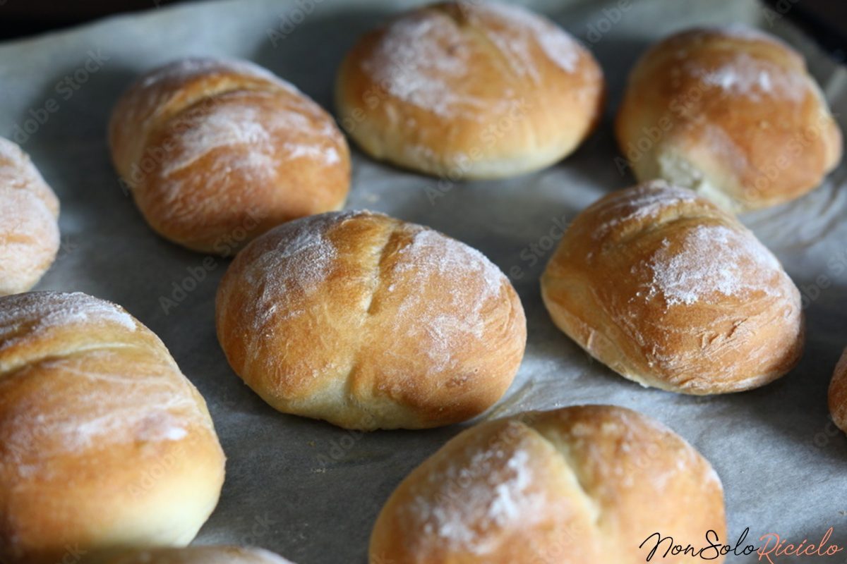 croccanti panini al burro abbasso 6