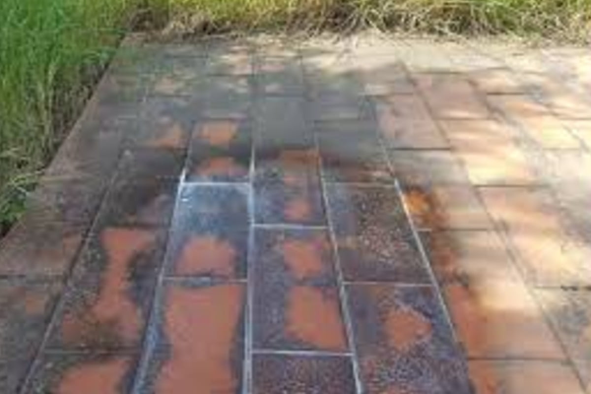 eliminare il muschio da muri muschio in giardino