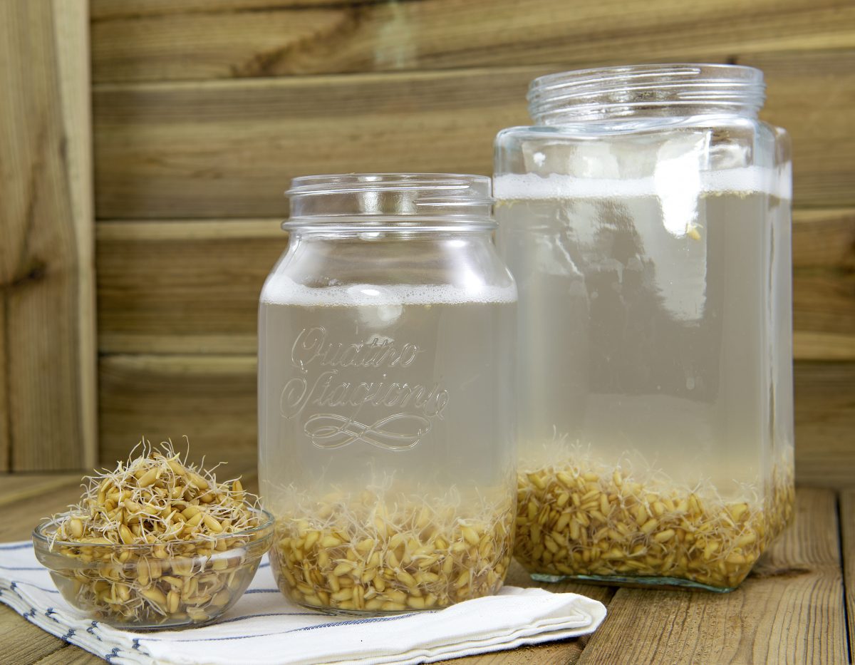 il rejuvelac scopri la bevanda AdobeStock 152843365