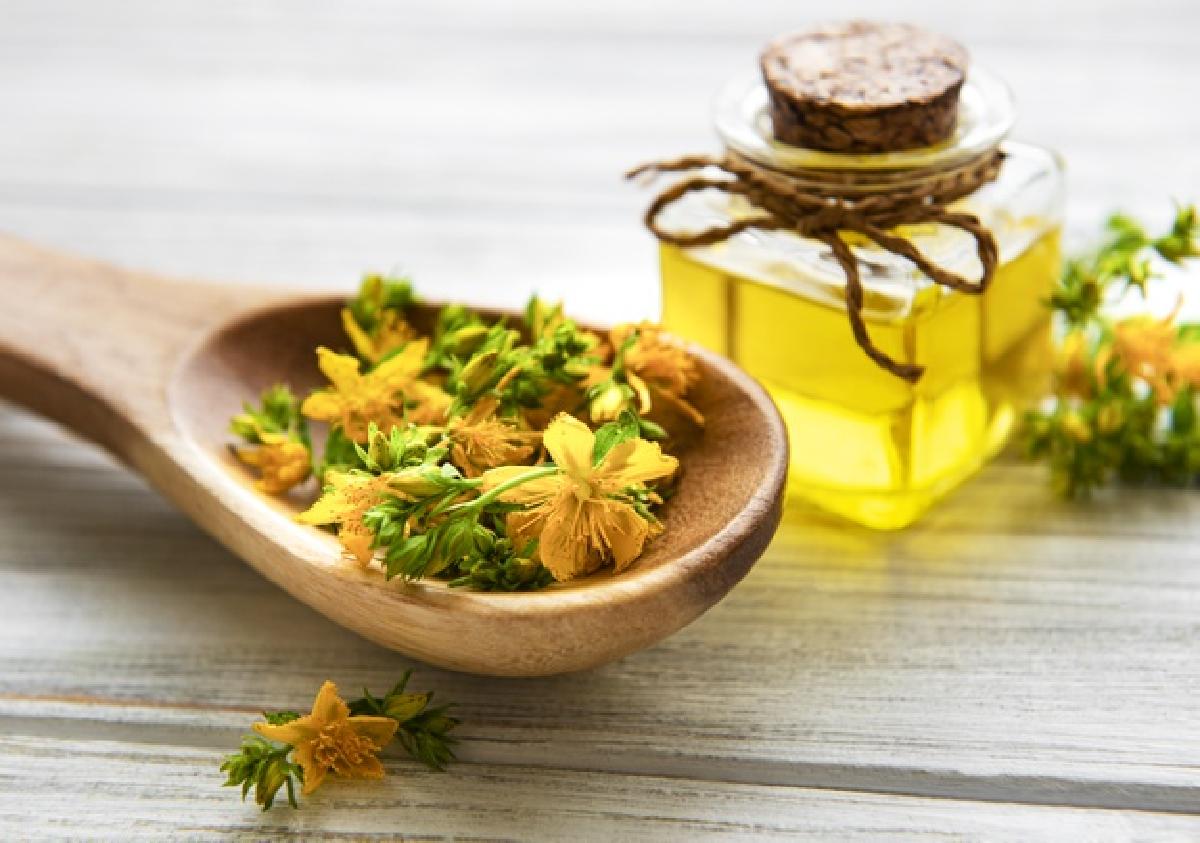 iperico scopri le diverse proprieta bottles with st john wort extract wooden table 87742 15194