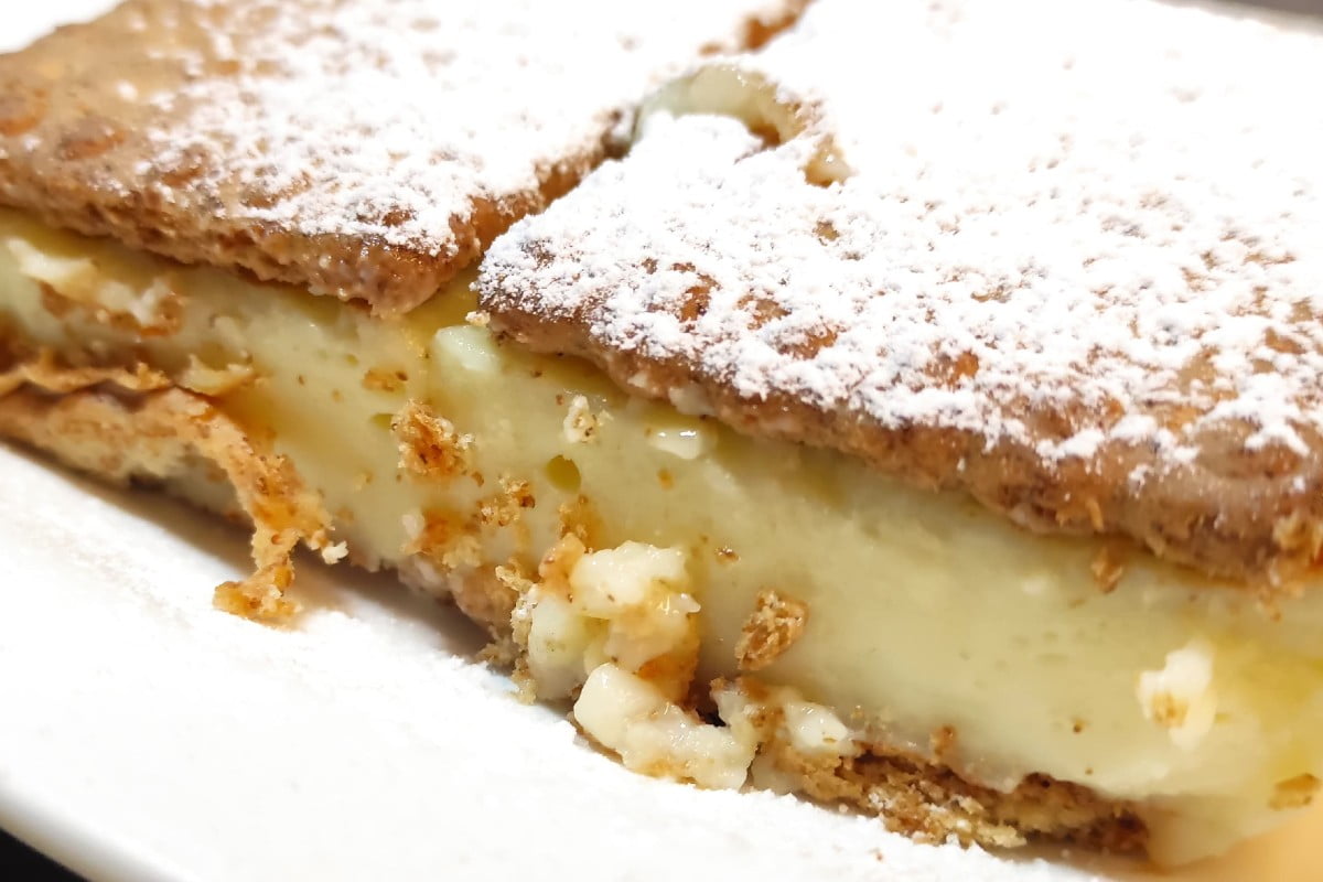 mattonella di crema e biscotti mattonella light