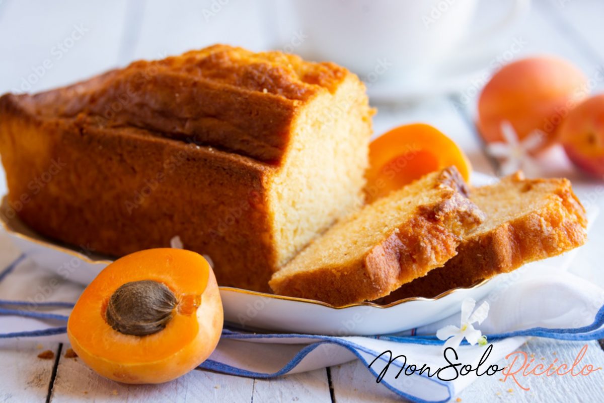 pan di albicocche tutto nel 6