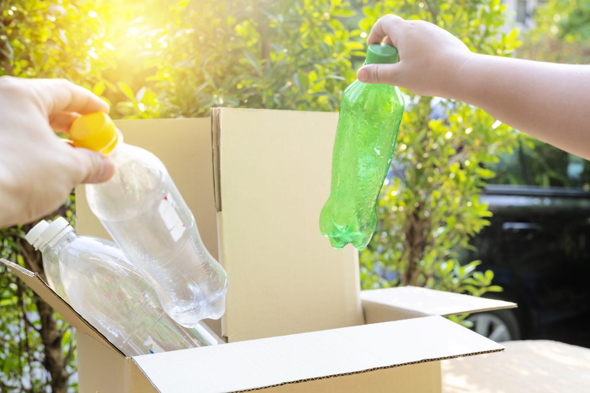 quali sono i contenitori piu AdobeStock 344723791