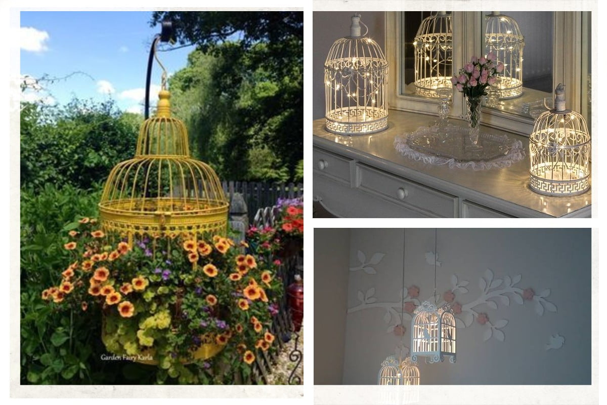 riutilizzare gabbia per uccellini tante gabbie uccellini