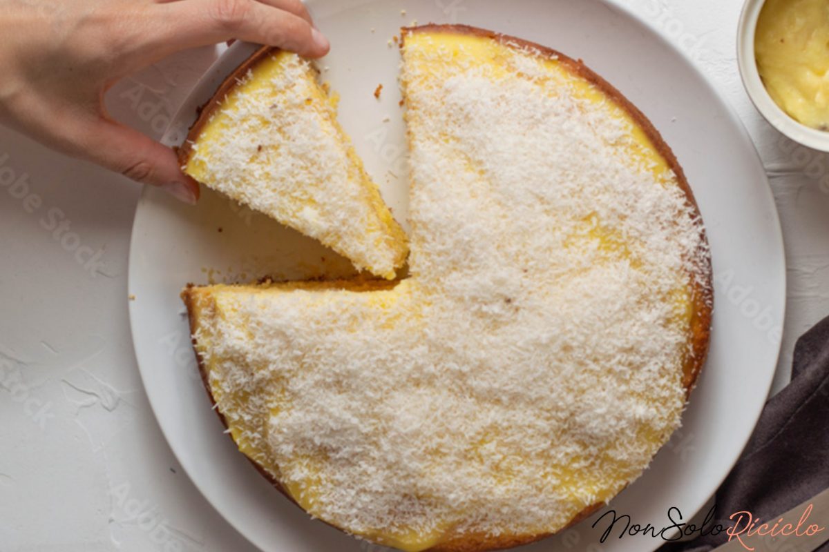 torta semplicissima al cocco senza 6