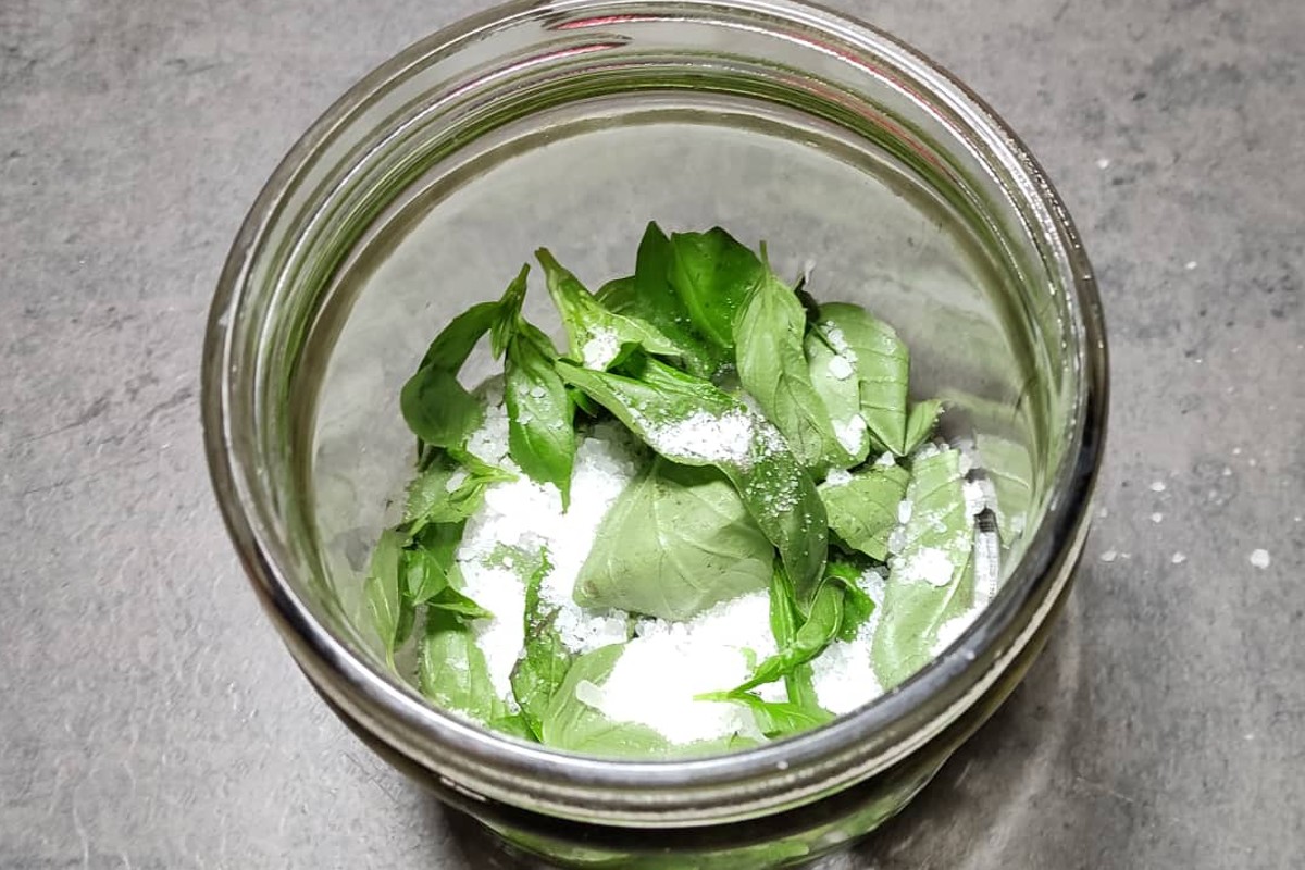 barattoli di basilico sotto sale basilico sotto sale