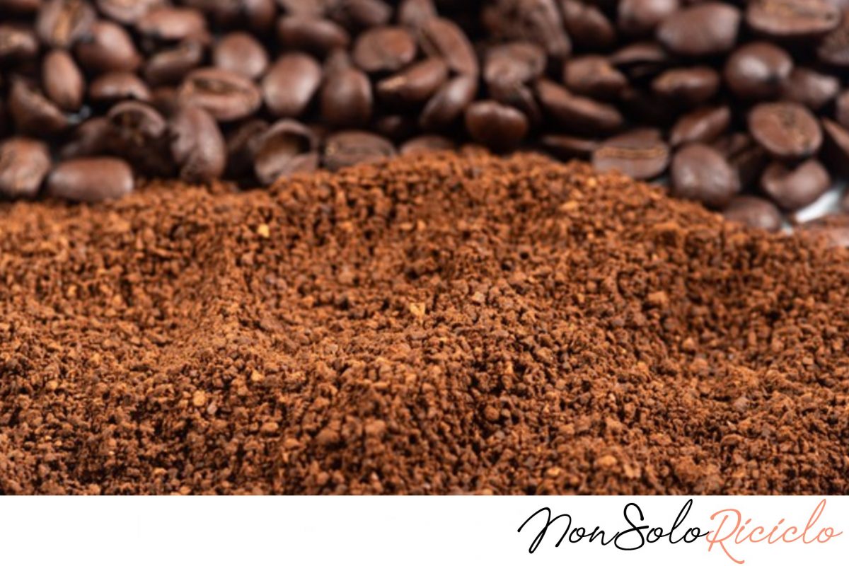 bozza automatica 1 2