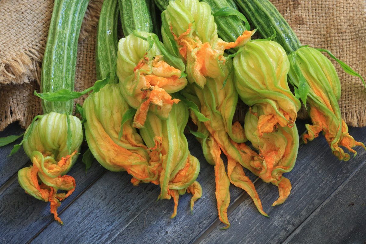 il modo infallibile per conservare AdobeStock 142353994