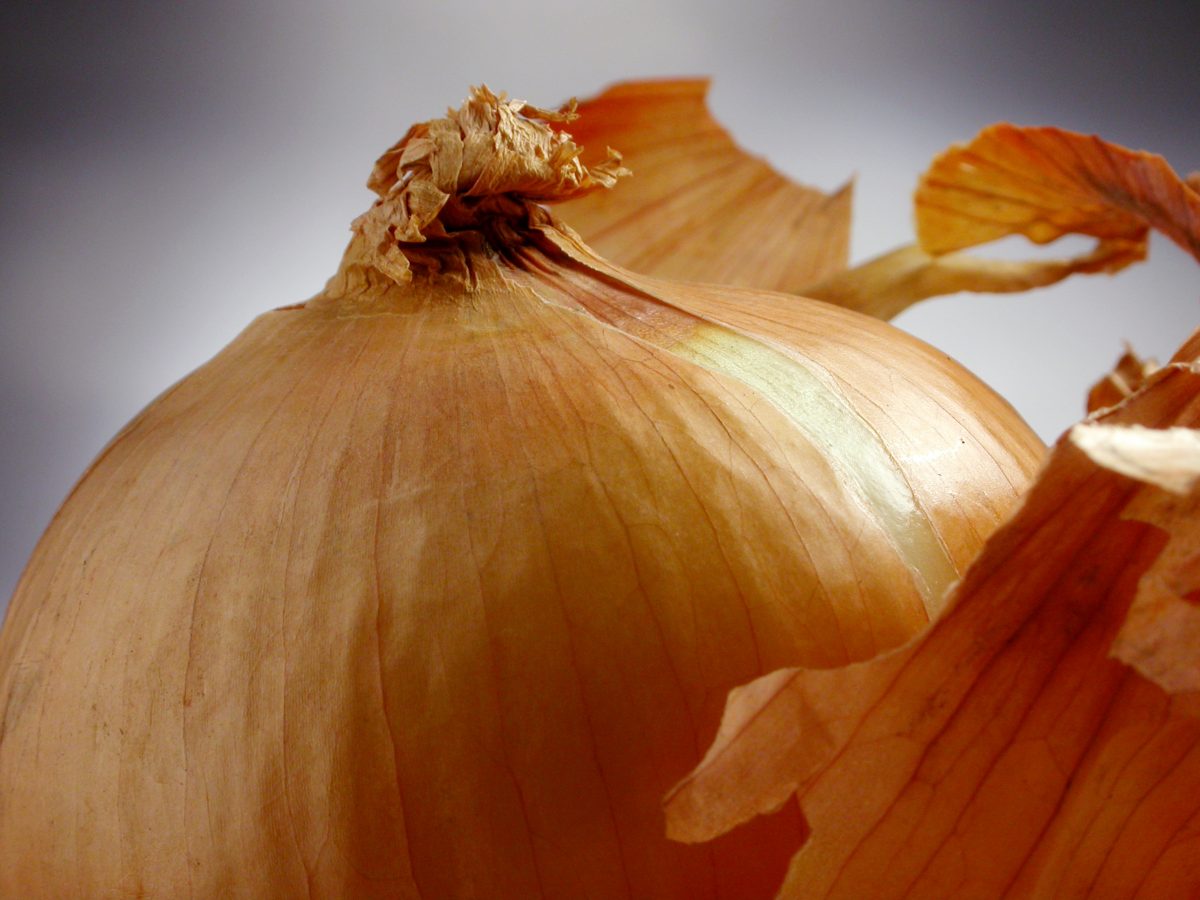le bucce di cipolla scopri AdobeStock 21225319