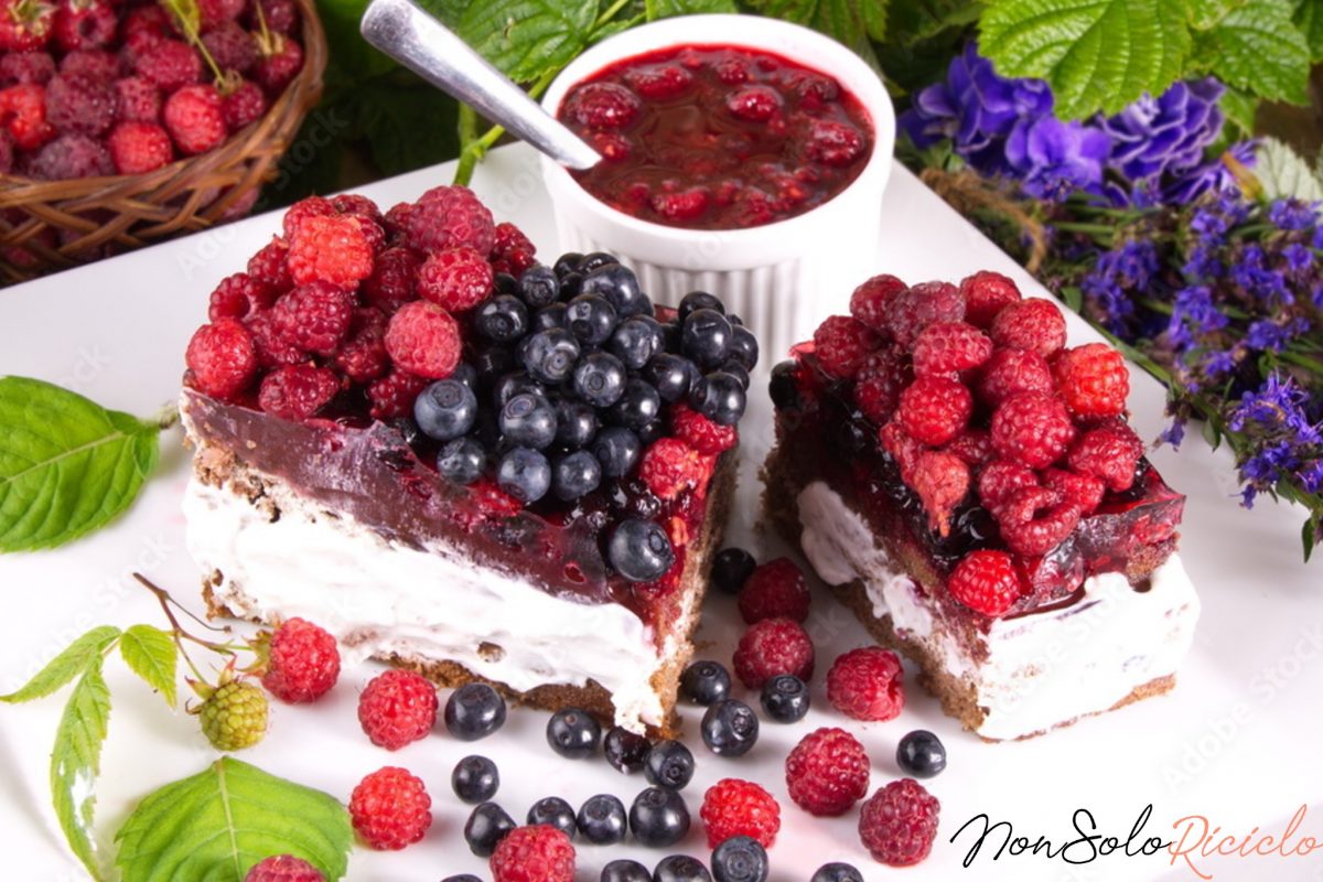 mattonella light yogurt e frutti 9