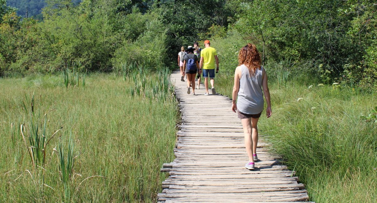 otto modi per bruciare piu AdobeStock 219642603