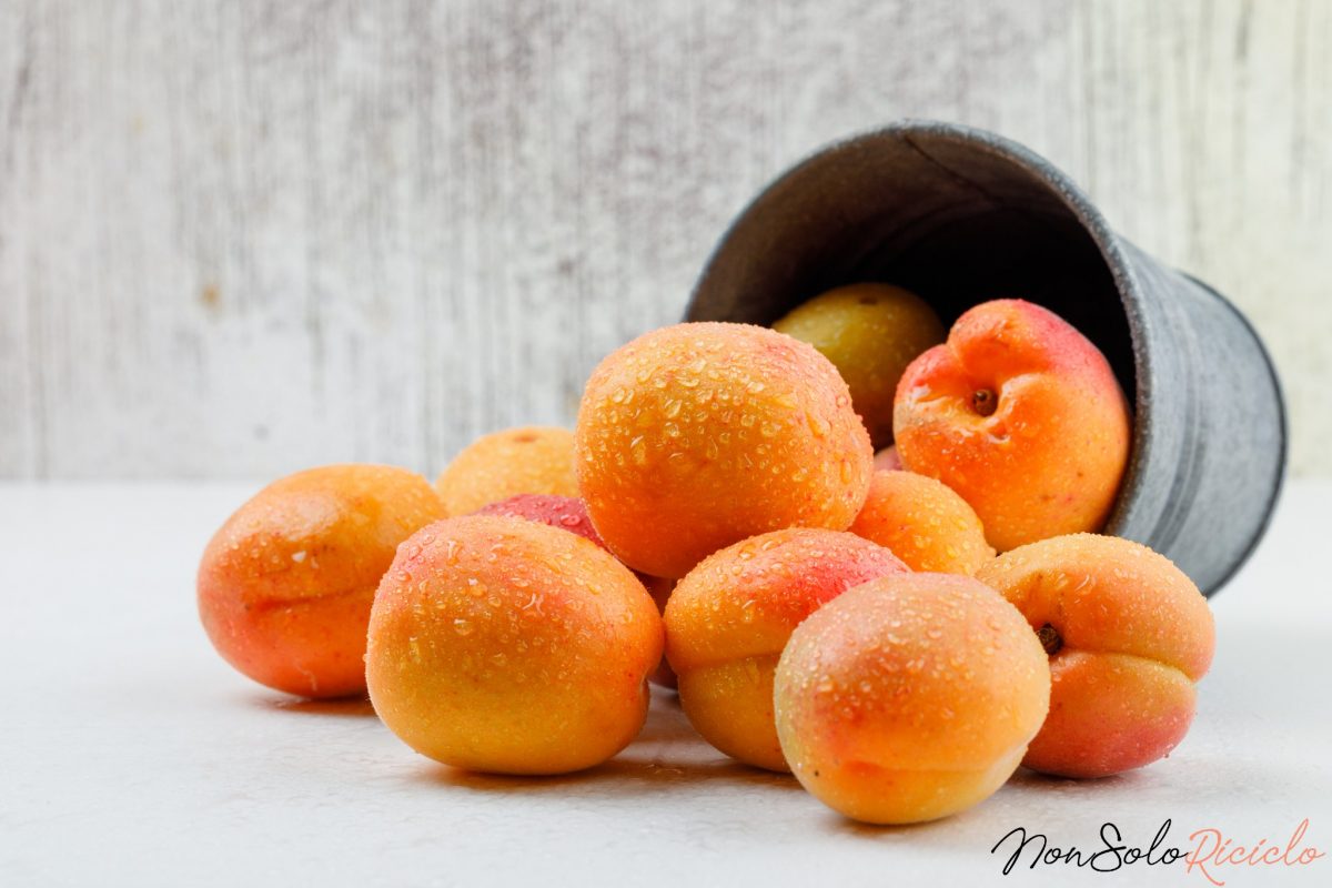 albicocche acerbe il trucco per 4