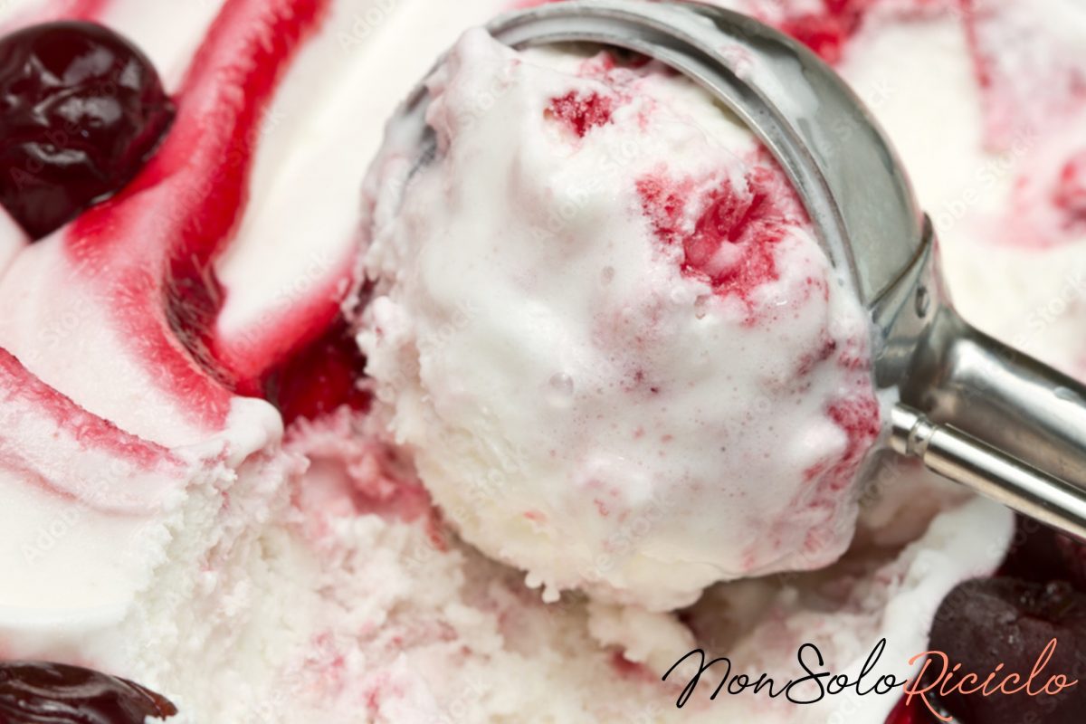 gelato variegato allamarena lidea furba 3