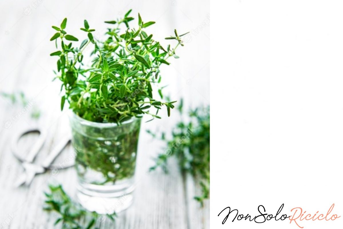 lo usate in cucina ma 4