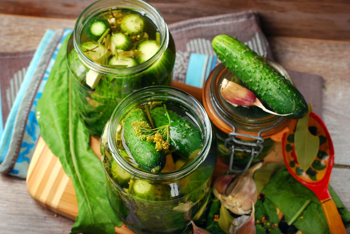 ricetta per preparar i cetrioli AdobeStock 70026502 1