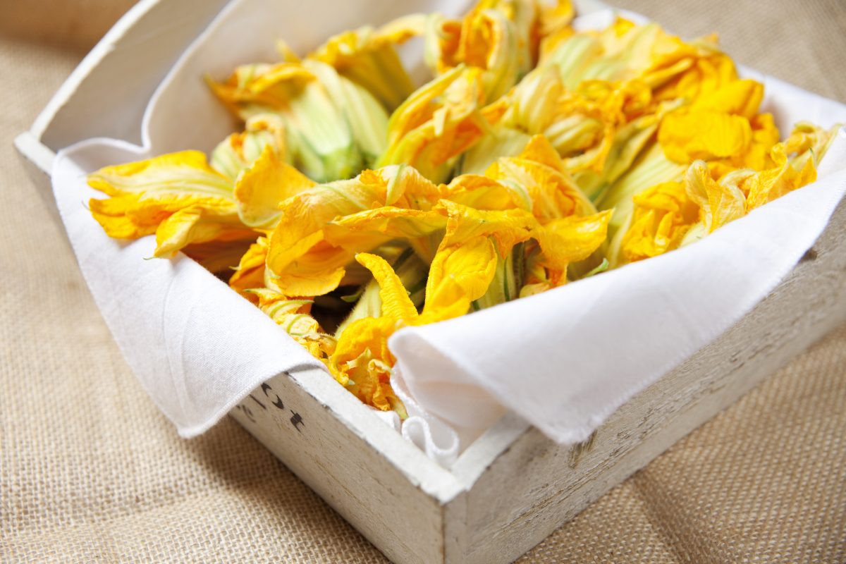 si possono congelare i fiori AdobeStock 24401919