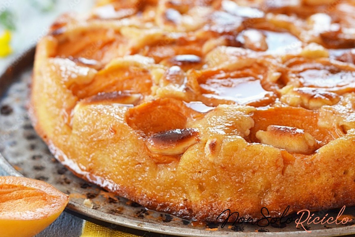 torta rovesciata alle albicocche deliziosa 3