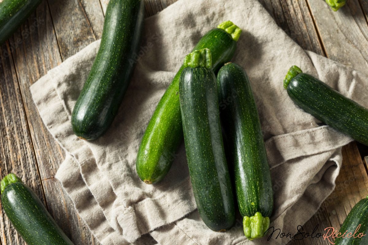 troppe zucchine imparate i metodi 1