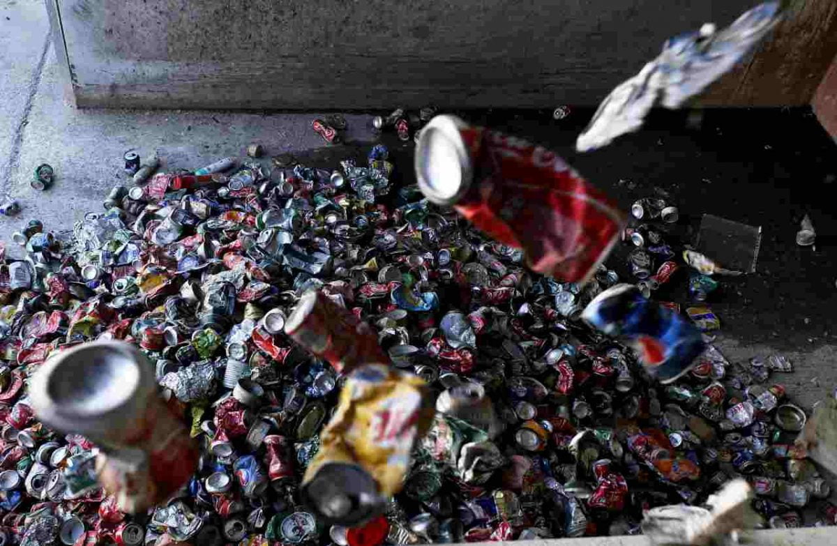 Amazon-e-CIAL-ambiente-Pianetadonne