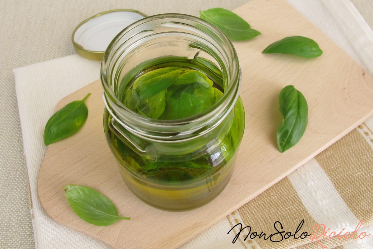 basilico sottolio si mantiene integro 5