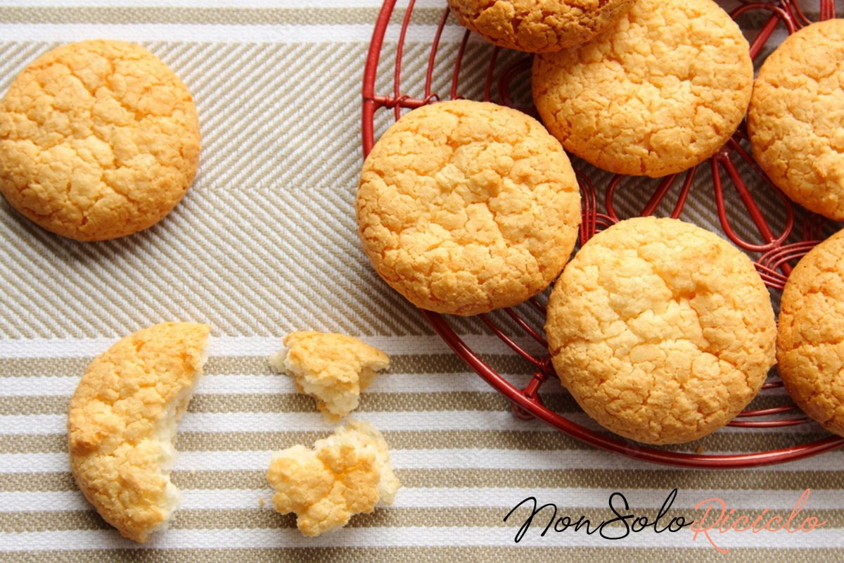 biscocco il biscotto al cocco 2 1