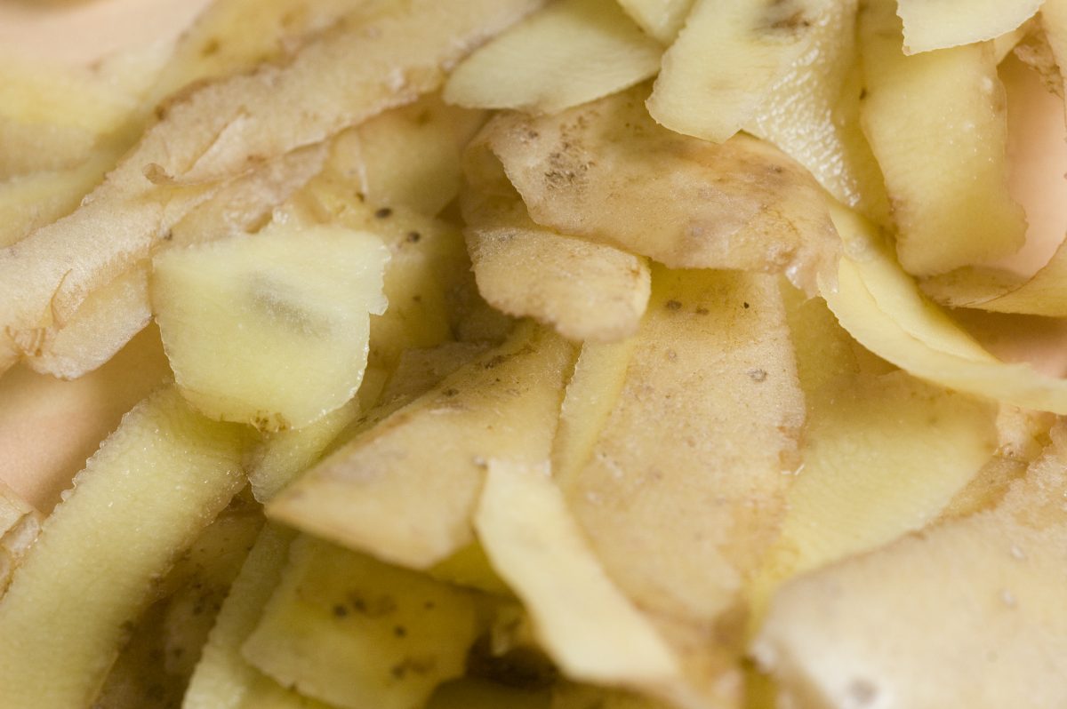 ecco come utilizzare le bucce AdobeStock 388332