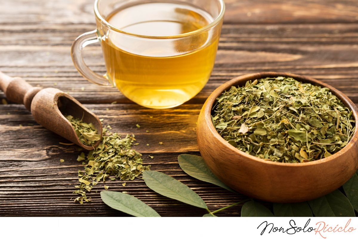 iniziate a bere te verde 3