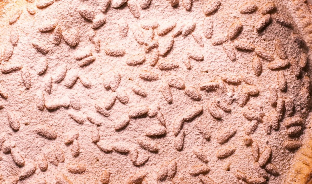 la torta della nonna senza torta della nonna