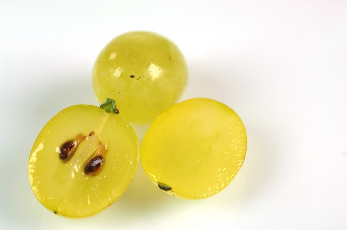 perche non dovresti buttare i AdobeStock 6006649