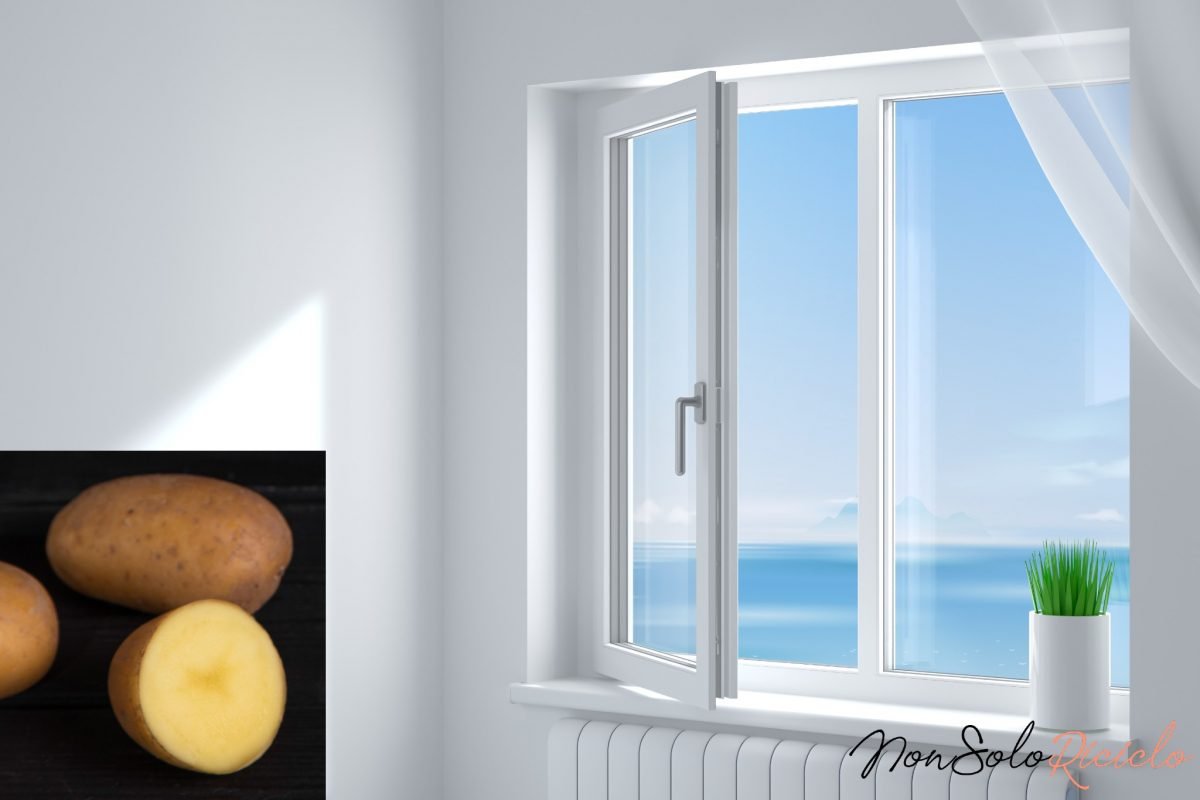 tagliate in due una patata 3