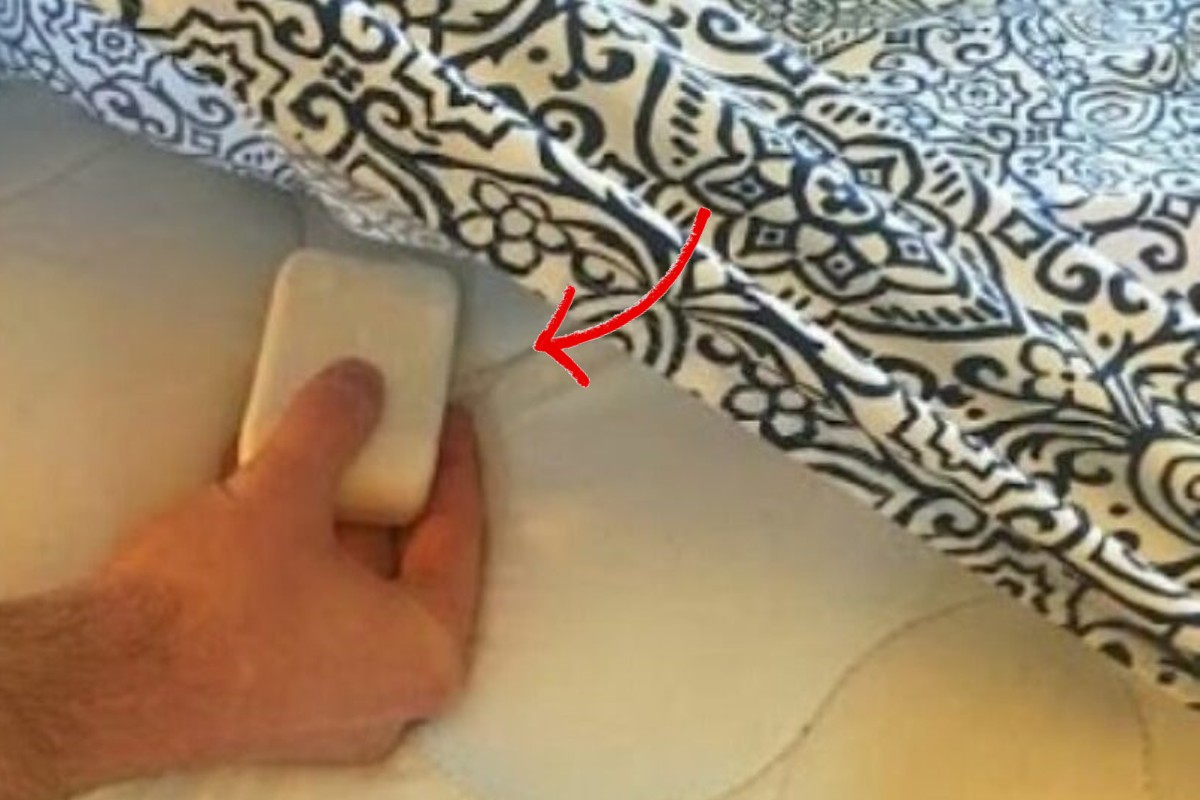 basta una saponetta tra le saponetta 1