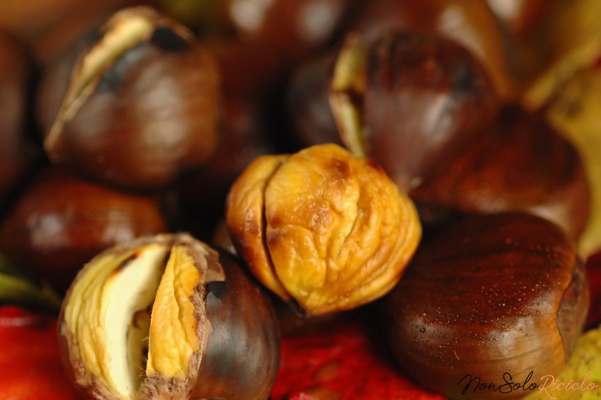 caldarroste al sale tutto in 2 ok