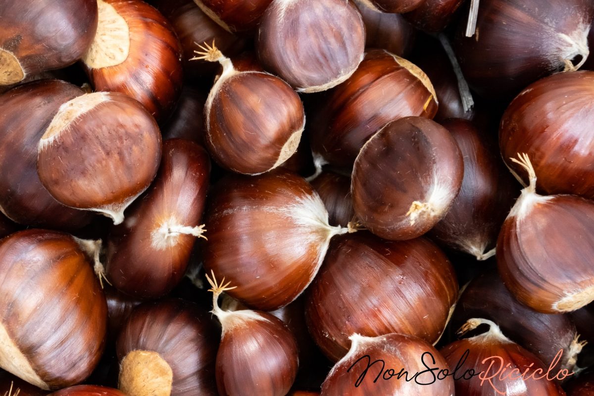 conservare le castagne e mantenerle 2