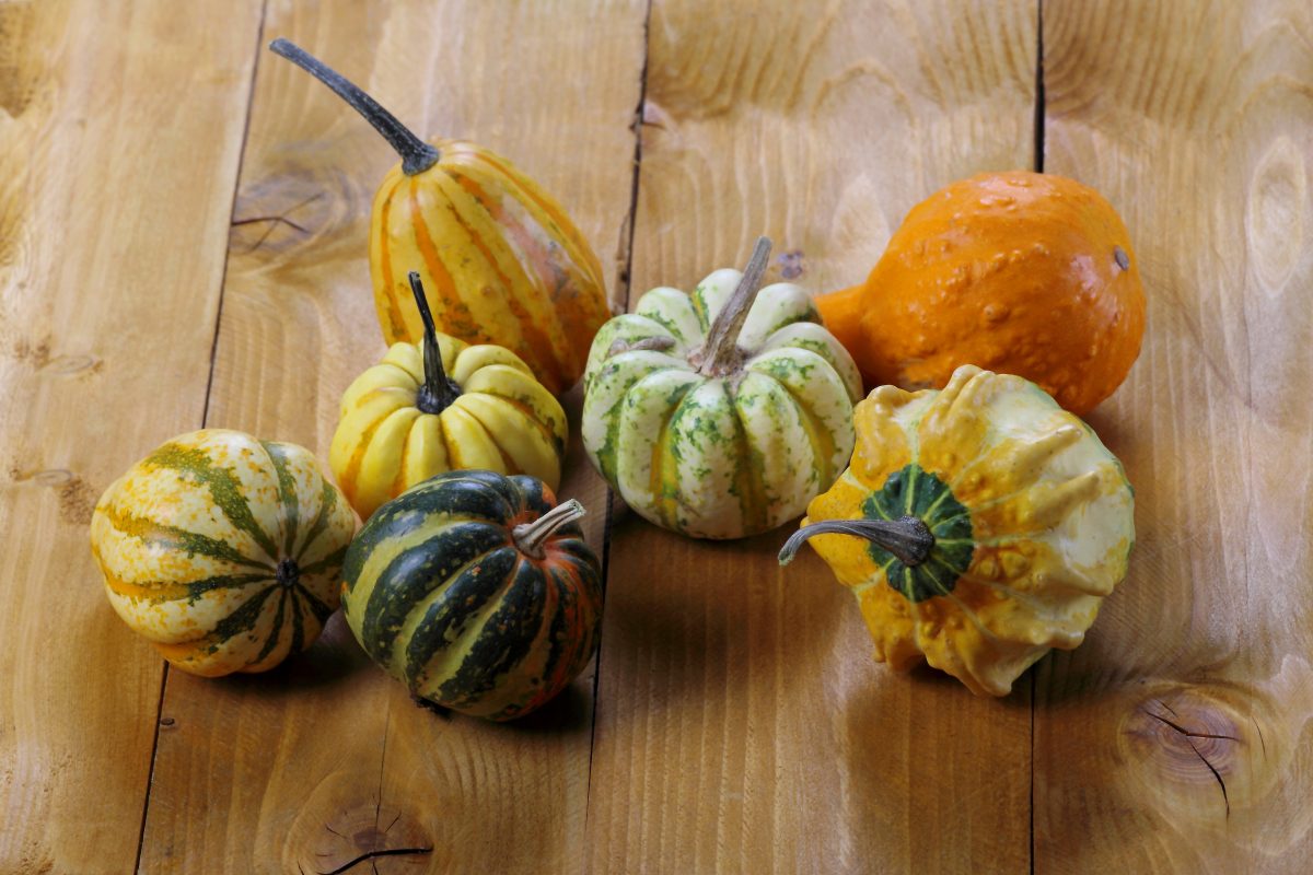 ecco 4 modi per essiccare AdobeStock 93296446