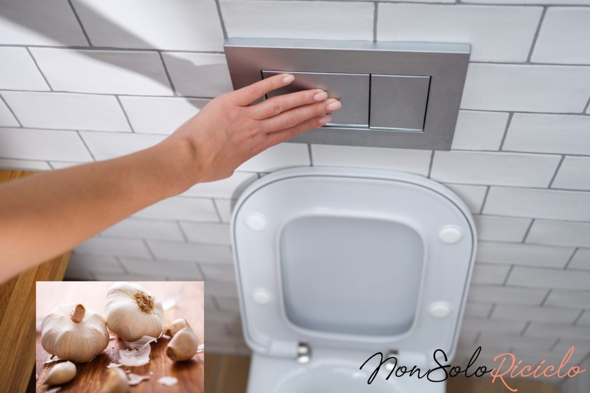 metti laglio nel water prima 3