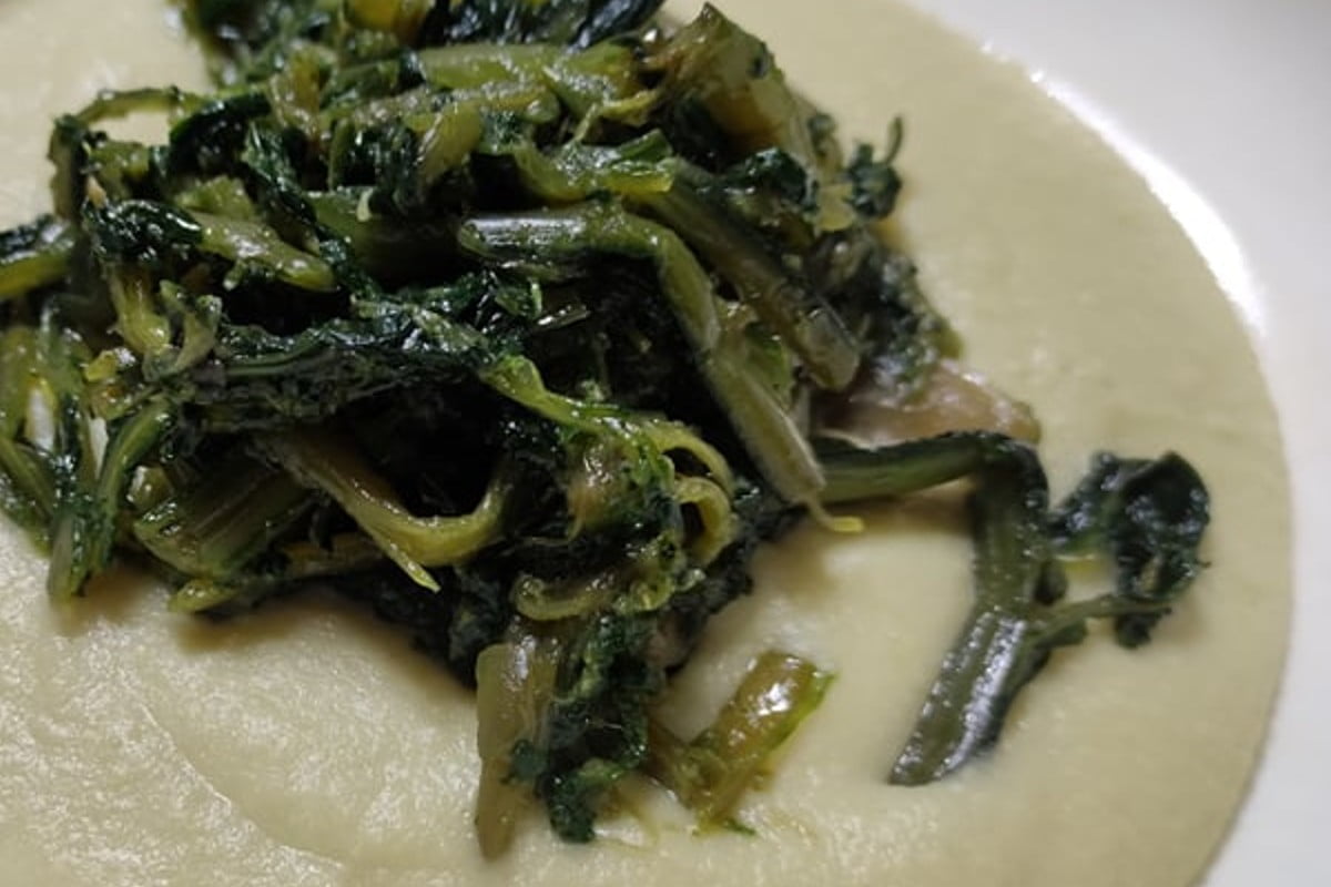 cespo di cicoria con purea Cicoria e pure di fave