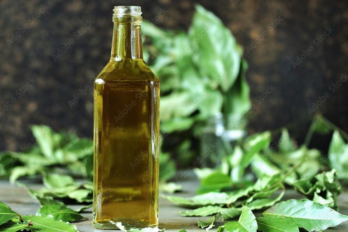 liquore allalloro un digestivo profumatissimo 2 1