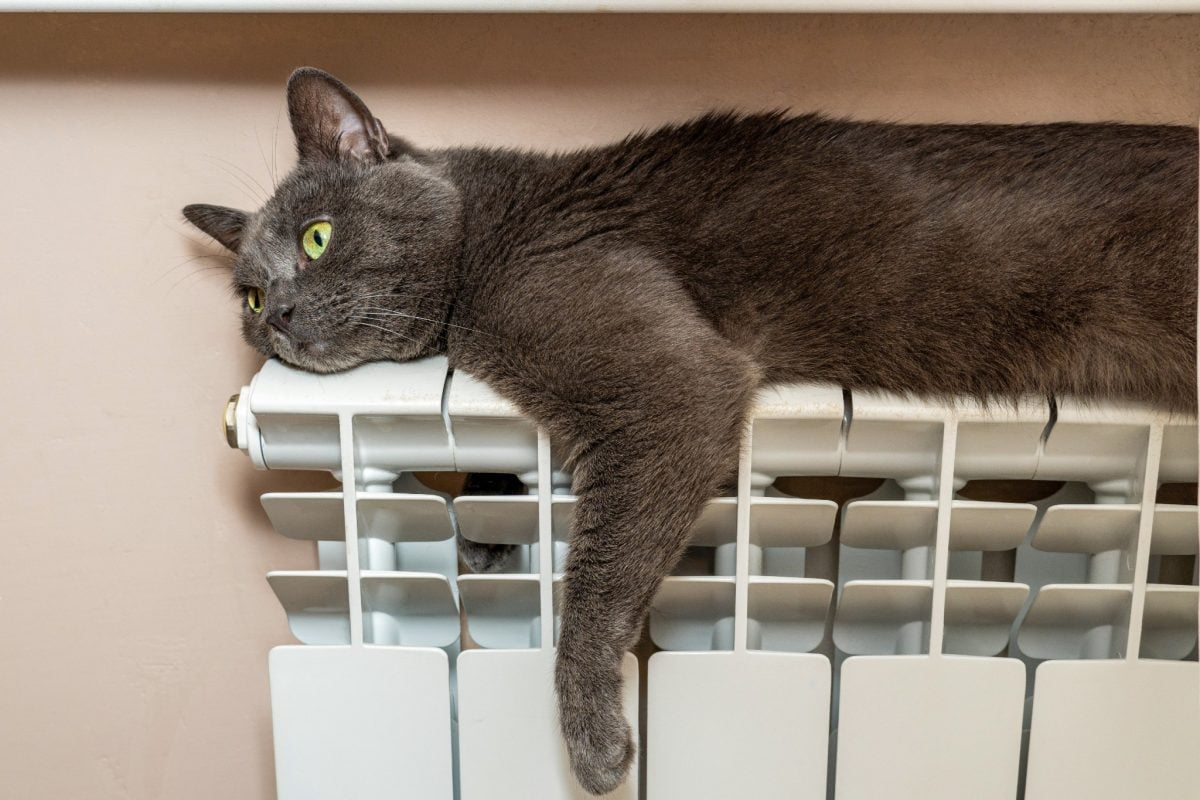 per una casa profumata dautunno 4