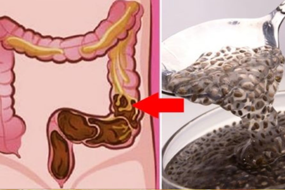 cinque alimenti preziosi per la cibi ricchi di fibre 1