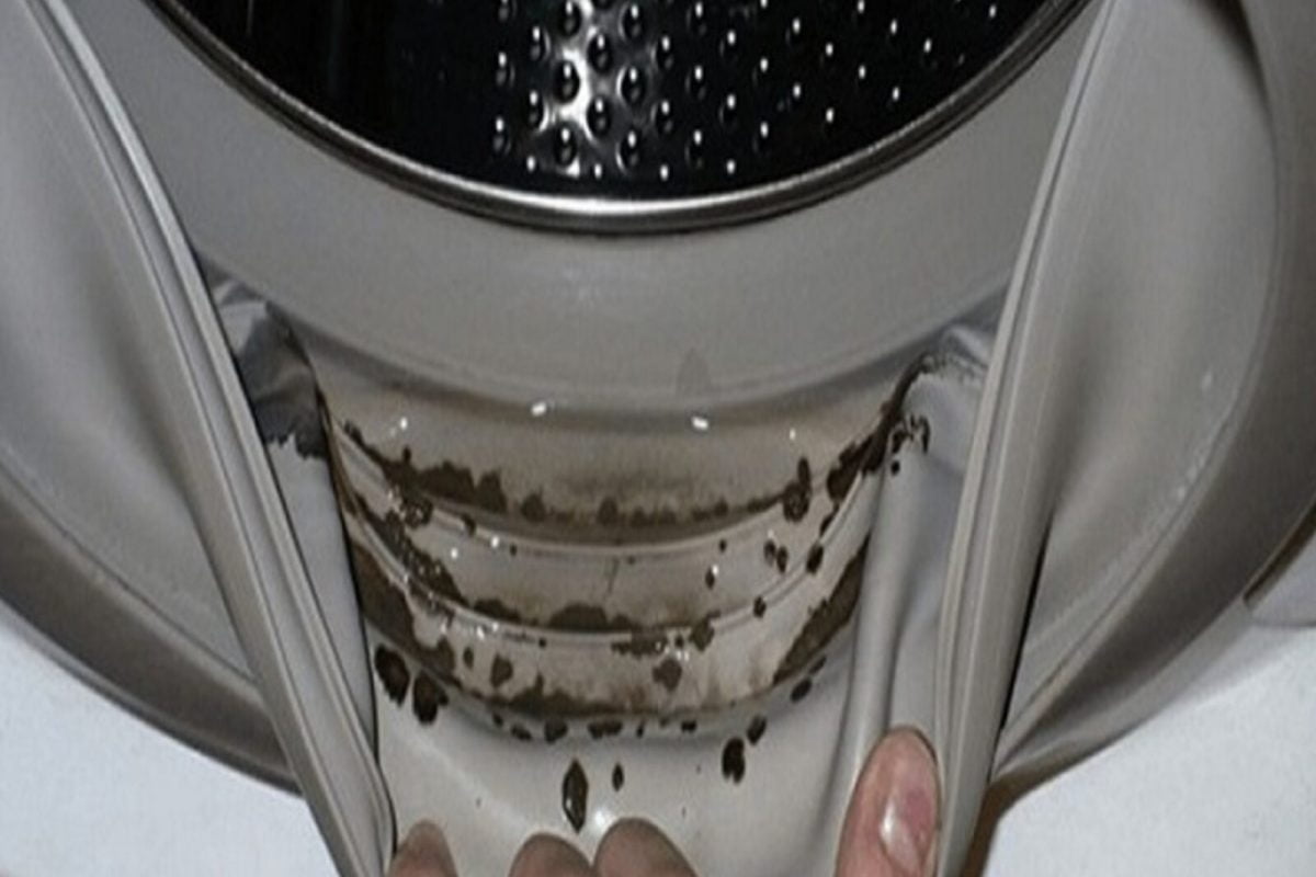 elimina la muffa e il muffa guarnizione lavatrice scaled 1
