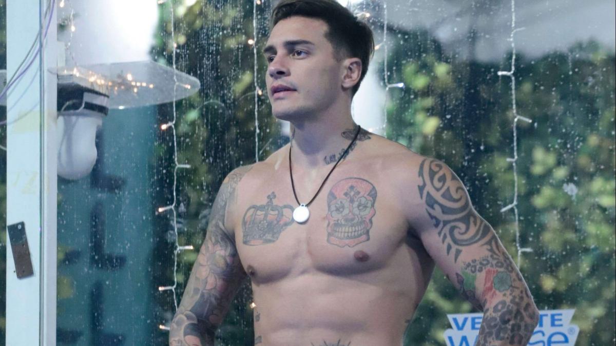 gf vip 6 alessandro basciano grande fratello vip alessandro basciano sophie mi piace piu di tutte esteticamente 2702680 1