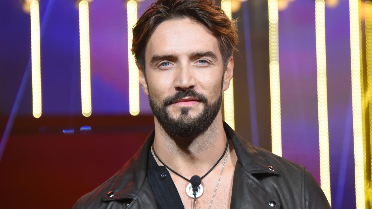 gf vip 6 spoiler 24 gf vip alex belli ai vipponi chiedetevi perche non ci sono blocchi su di voi 2706528