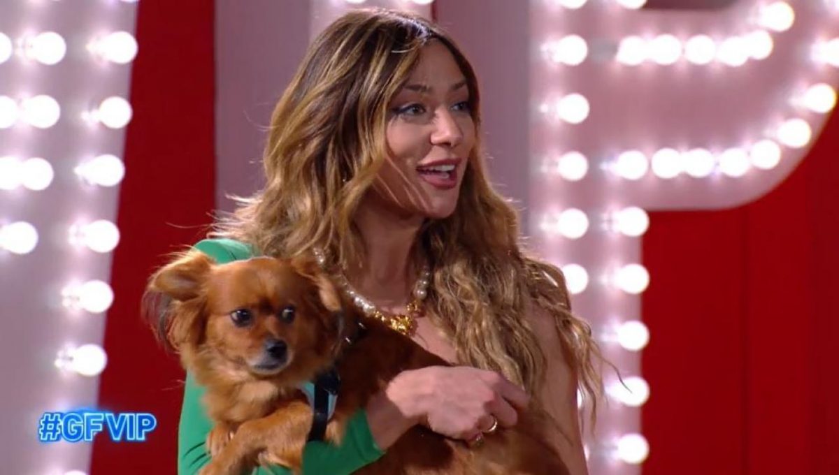 gf vip 6 una bellissima soleil sorge rivede il cane simba C 1 article 30770 launch horizontal image