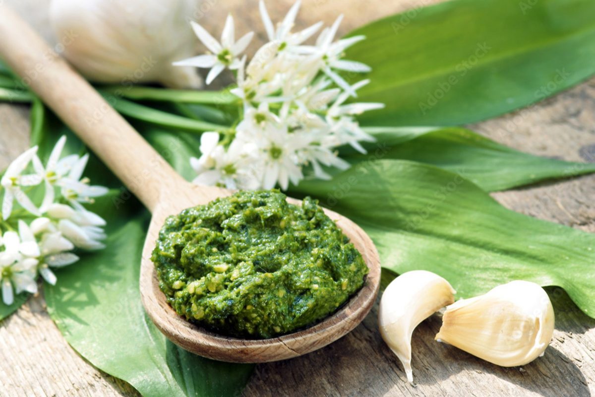 pesto di aglio orsino un 4