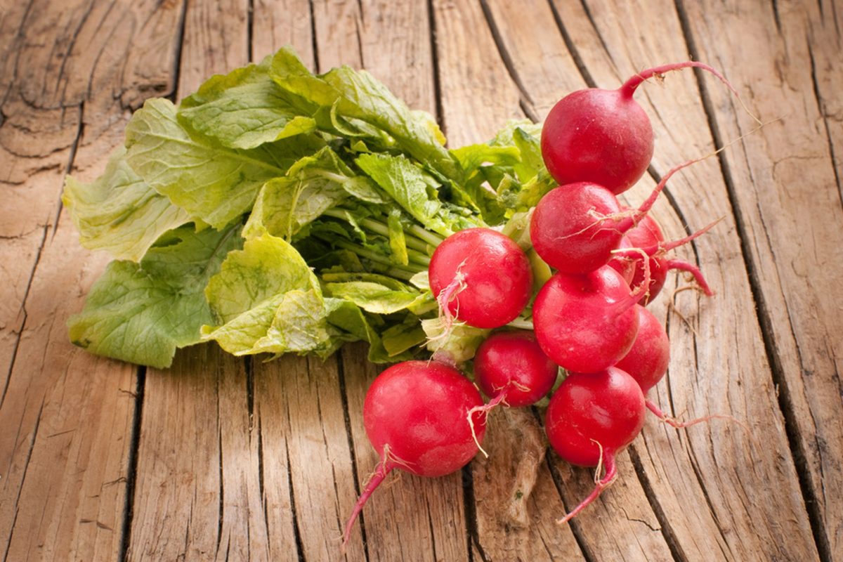 pesto di ravanelli unalternativa deliziosa 3