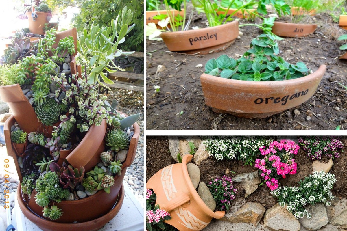 hai dei vasi o anfore vasi di coccio 1