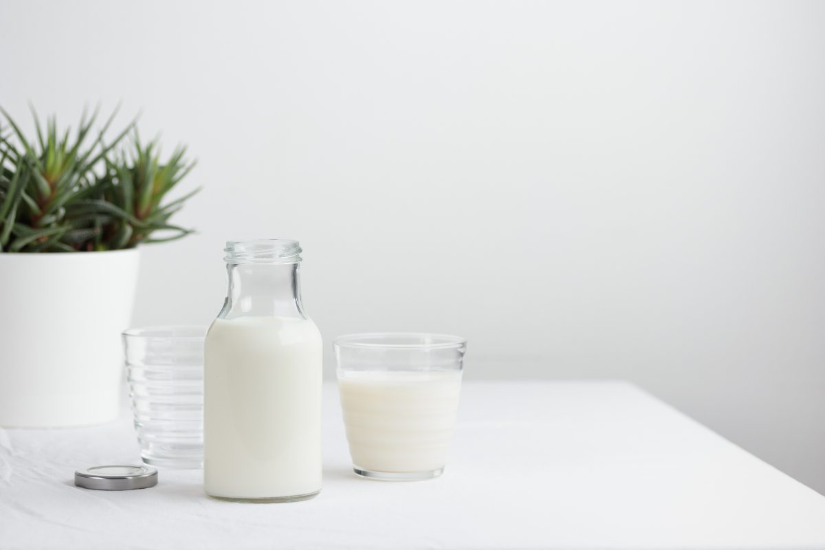 il latte per annaffiare le AdobeStock 487769504