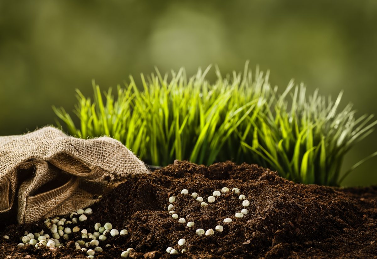 concime fatto in casa il AdobeStock 102367640