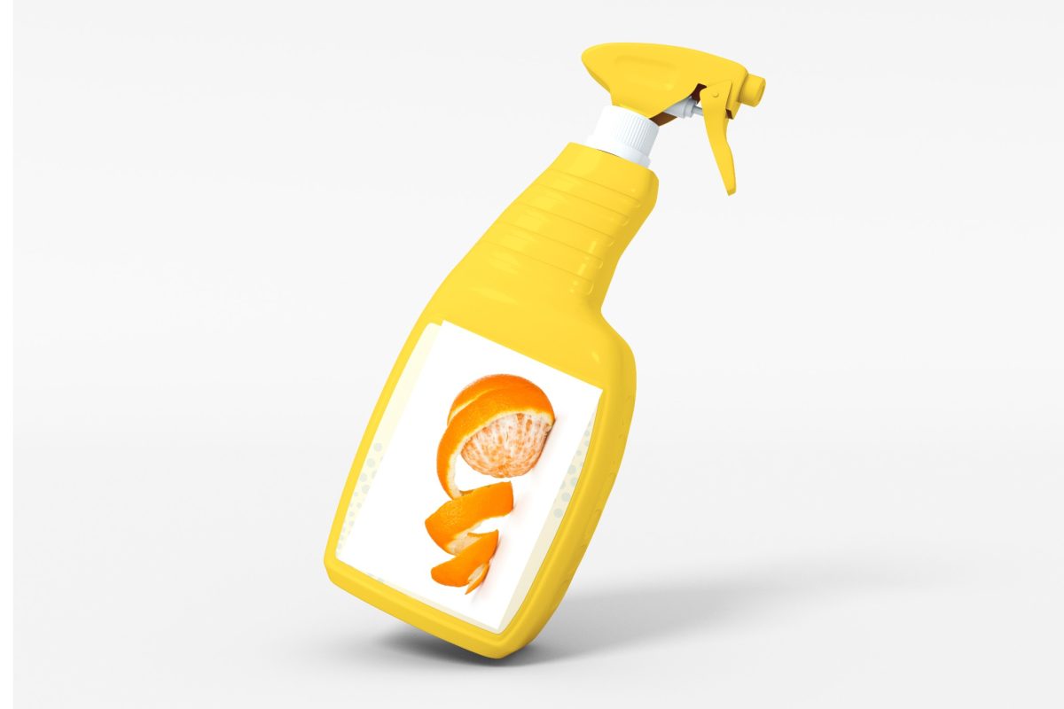 sgrassatore con le bucce darancio 1